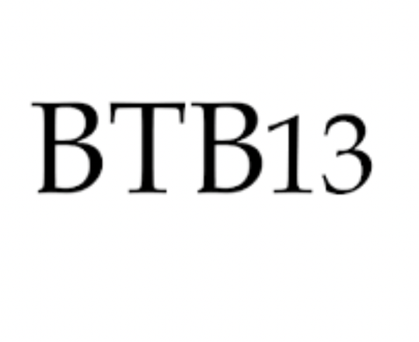 BTB13 Patented Innovation Wiilaamo